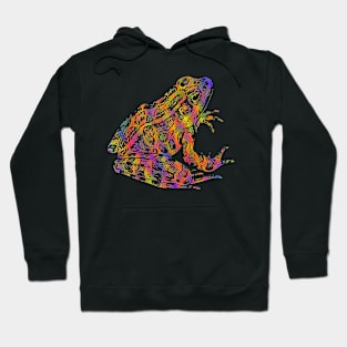 Fantasy Poison Rainbow Frog Hoodie